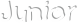 JUNIOR IP54 logo