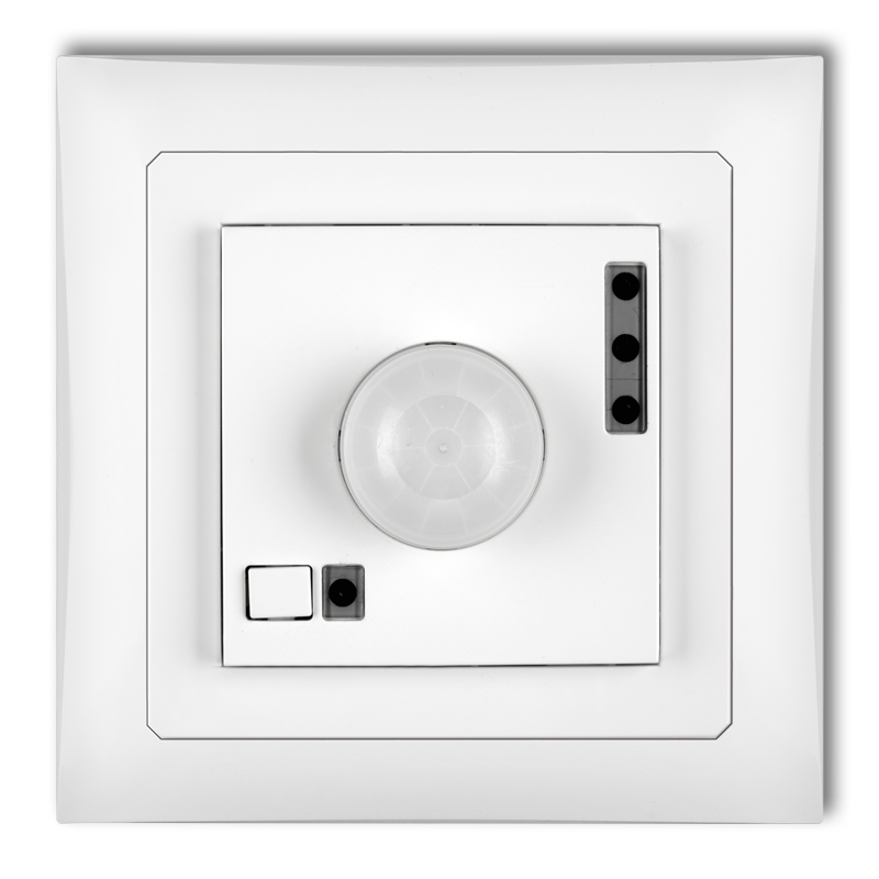 Electronic motion sensor